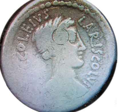 Larentia