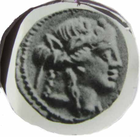 Image of Liber