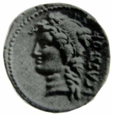 Image of Libera